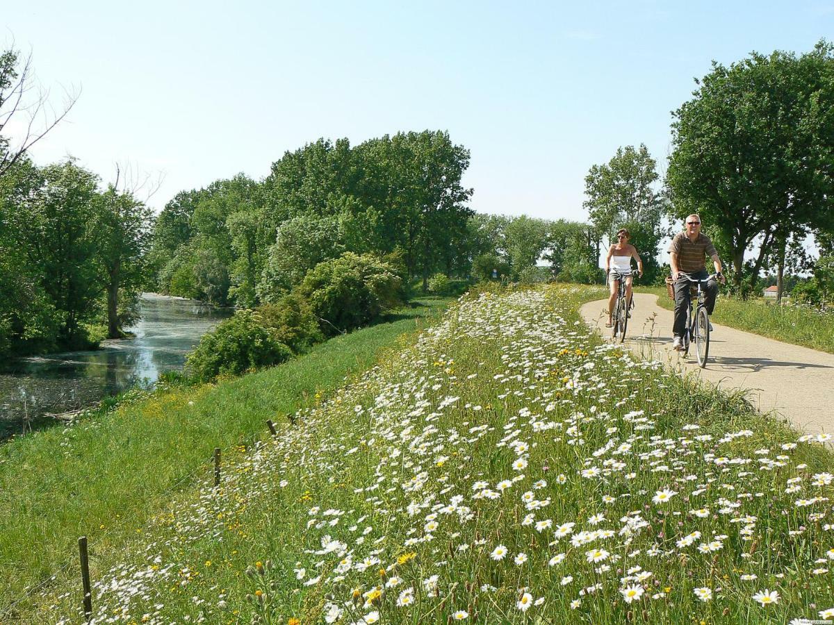 Vakantiepark Wilhelm Tell Vakantieappartement Opglabbeek المظهر الخارجي الصورة